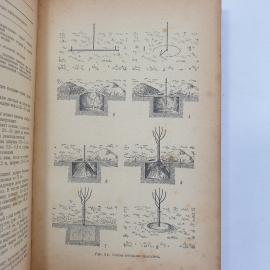 Книга "Справочник садовода", Москва, 1956г.. Картинка 10