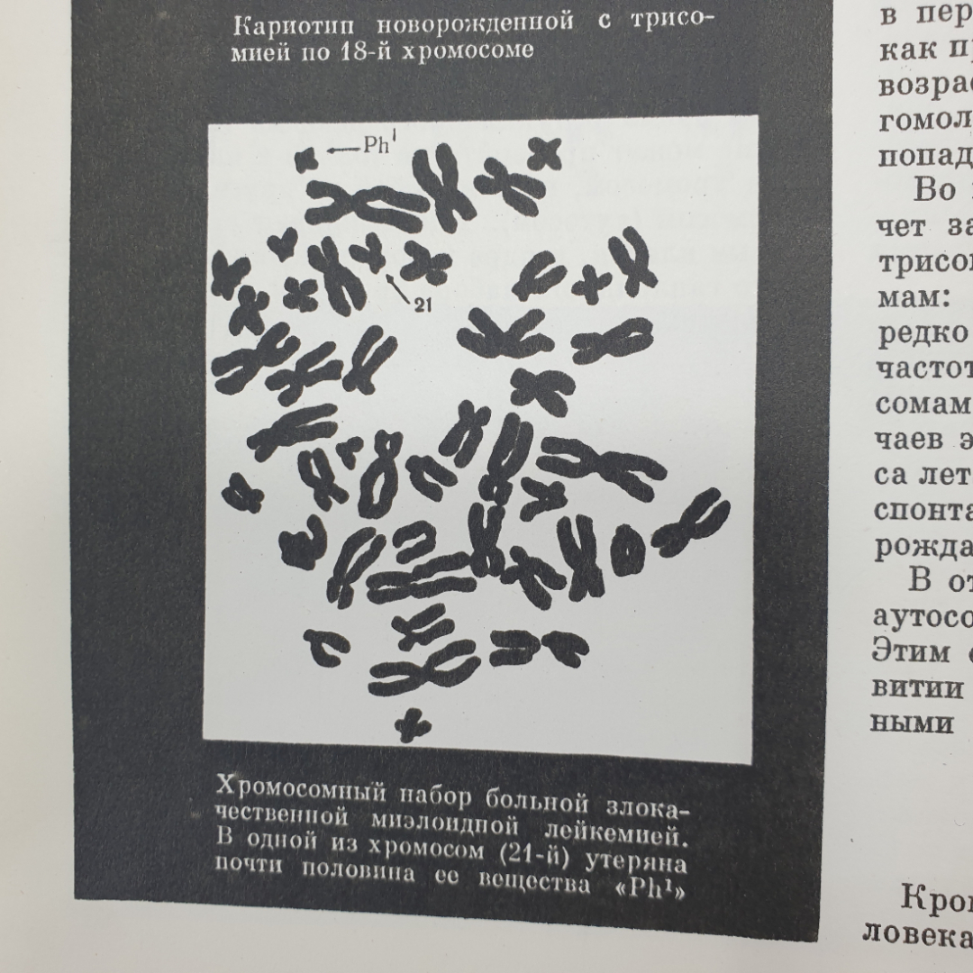 Книга "Наука и человечество", издательство Знание, 1965г.. Картинка 9