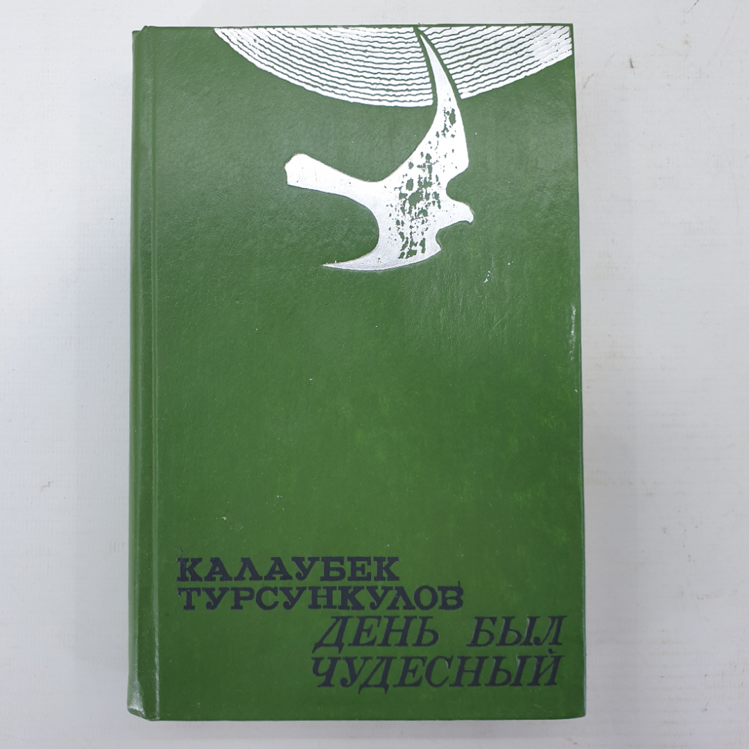 К. Турсункулов "День был чудесный". Картинка 1