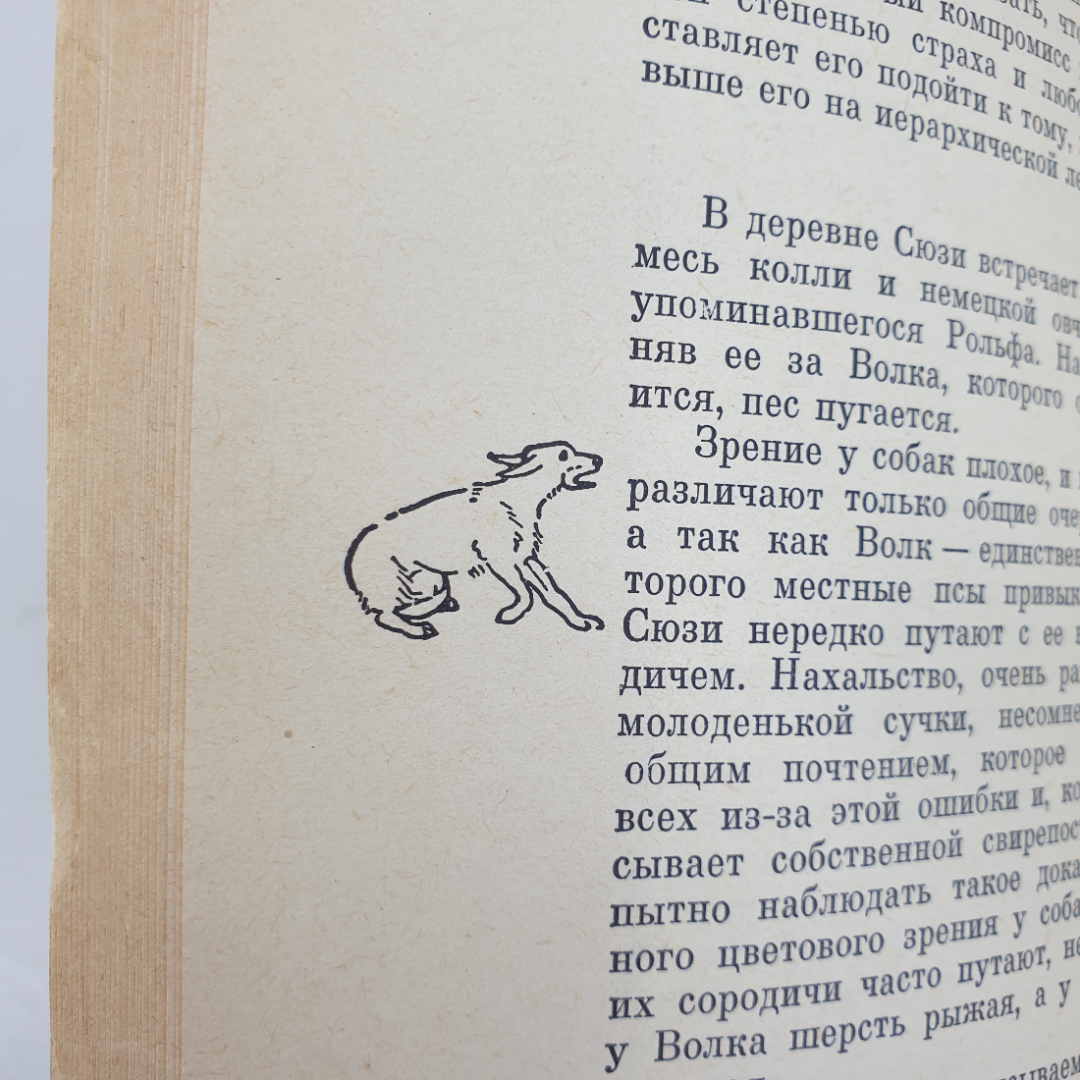 К. Лоренц "Человек находит друга", издательство Мир, Москва, 1977г.. Картинка 5