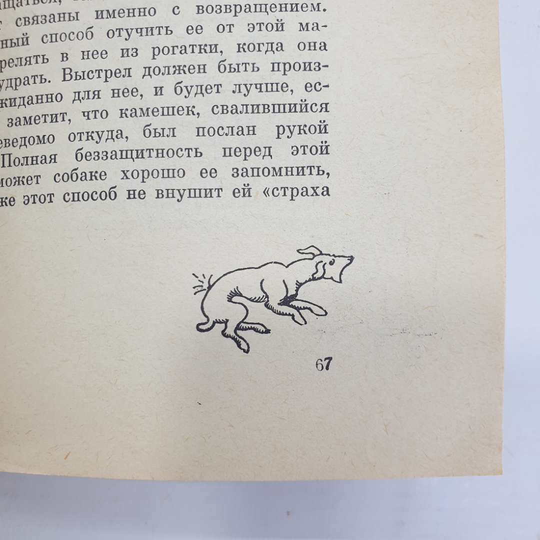 К. Лоренц "Человек находит друга", издательство Мир, Москва, 1977г.. Картинка 7