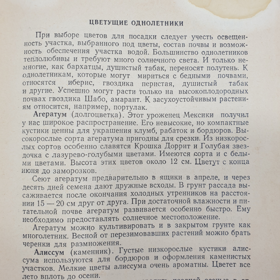 Б. Александров "Цветы к фестивалю", издательство ЦК ВЛКСМ, издательство, Молодая гвардия, 1957г.. Картинка 5