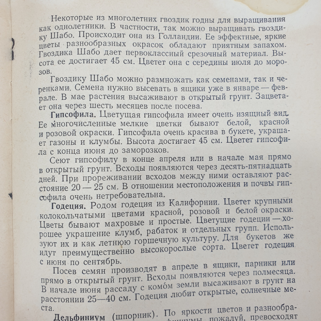 Б. Александров "Цветы к фестивалю", издательство ЦК ВЛКСМ, издательство, Молодая гвардия, 1957г.. Картинка 6