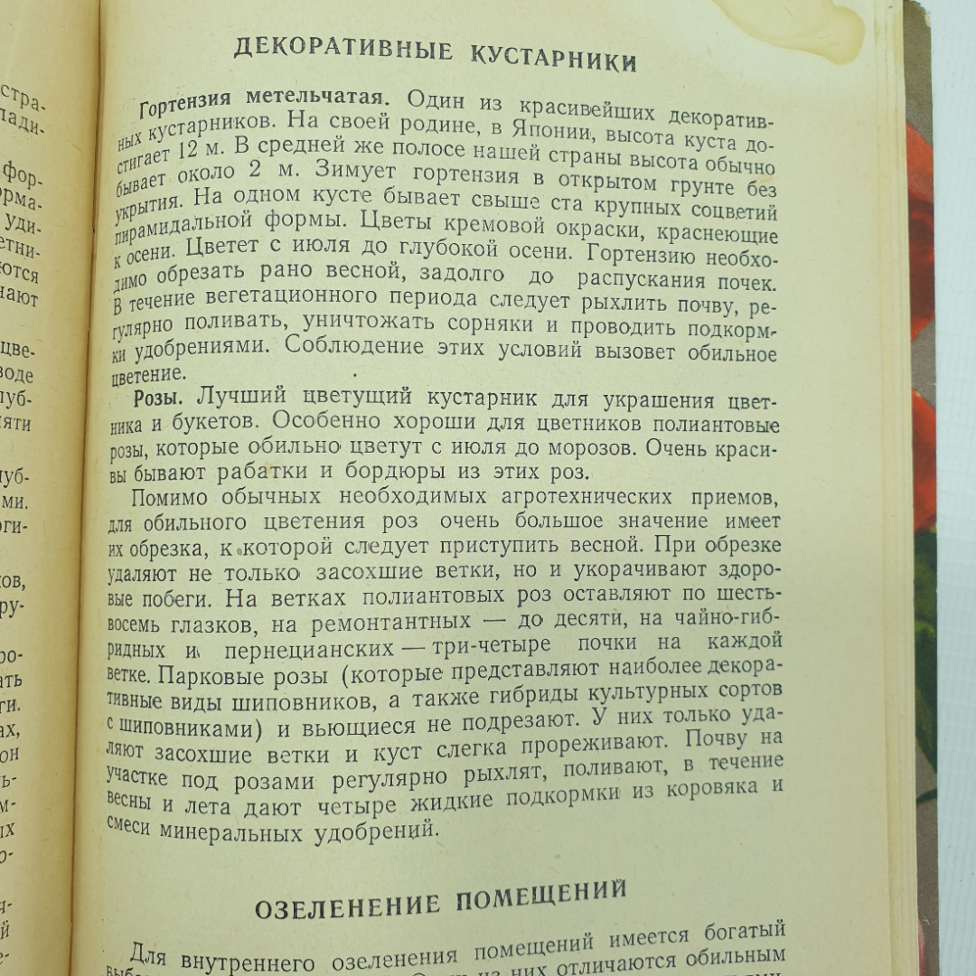 Б. Александров "Цветы к фестивалю", издательство ЦК ВЛКСМ, издательство, Молодая гвардия, 1957г.. Картинка 7