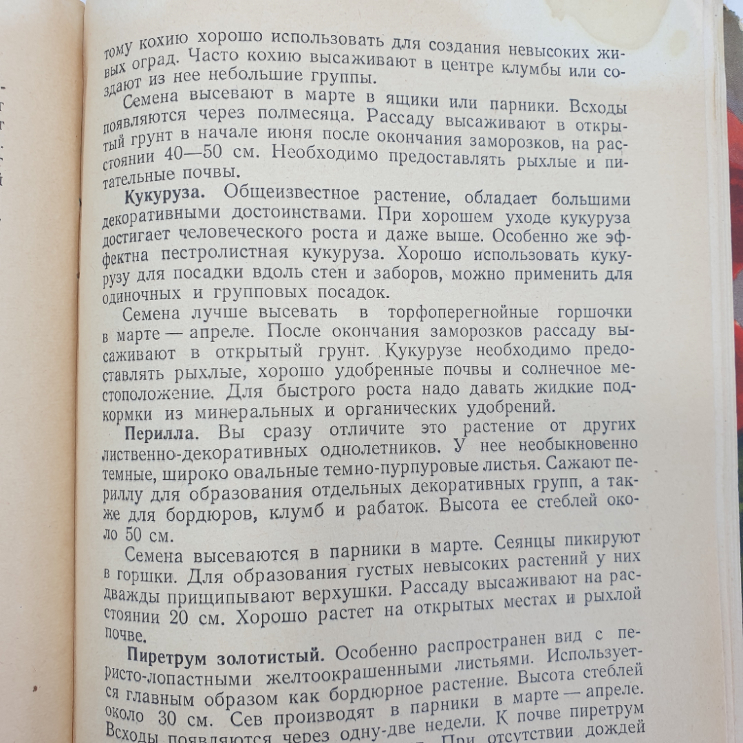 Б. Александров "Цветы к фестивалю", издательство ЦК ВЛКСМ, издательство, Молодая гвардия, 1957г.. Картинка 8