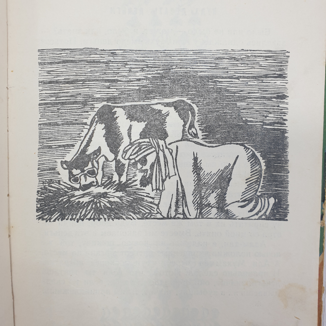 Р. Кушниров "Было или не было...", Детгиз, 1959г.. Картинка 8