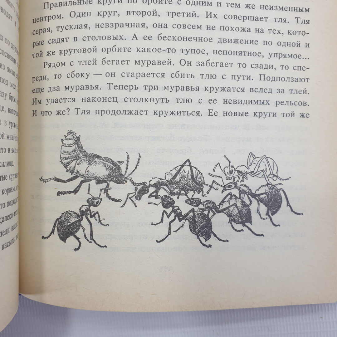 Н. Романова "Дайте кошке слово", Москва, Детская литература, 1992г.. Картинка 7