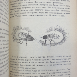 Н. Романова "Дайте кошке слово", Москва, Детская литература, 1992г.. Картинка 4