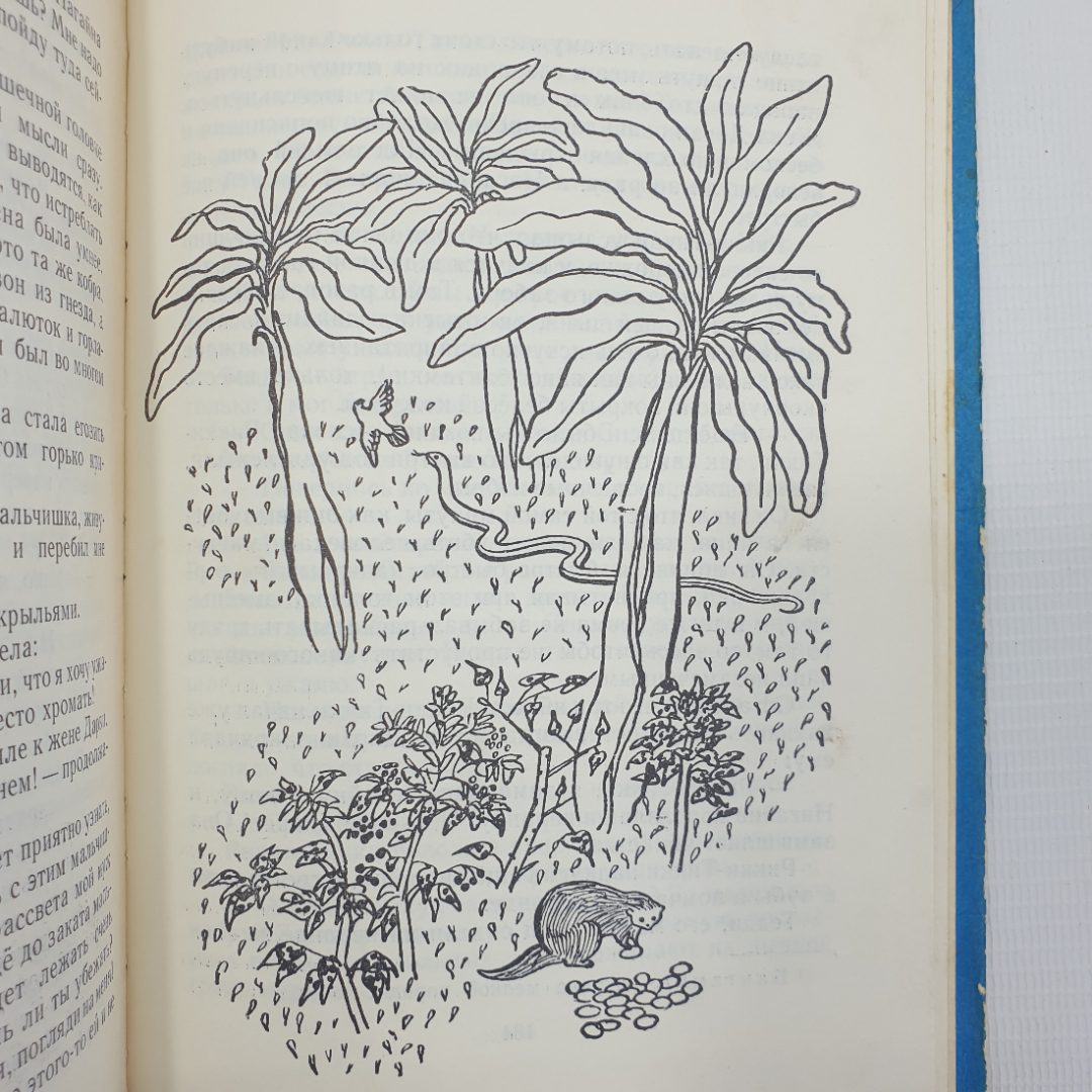 Р. Киплинг "Сказки", Детская литература, Москва, 1975г.. Картинка 8