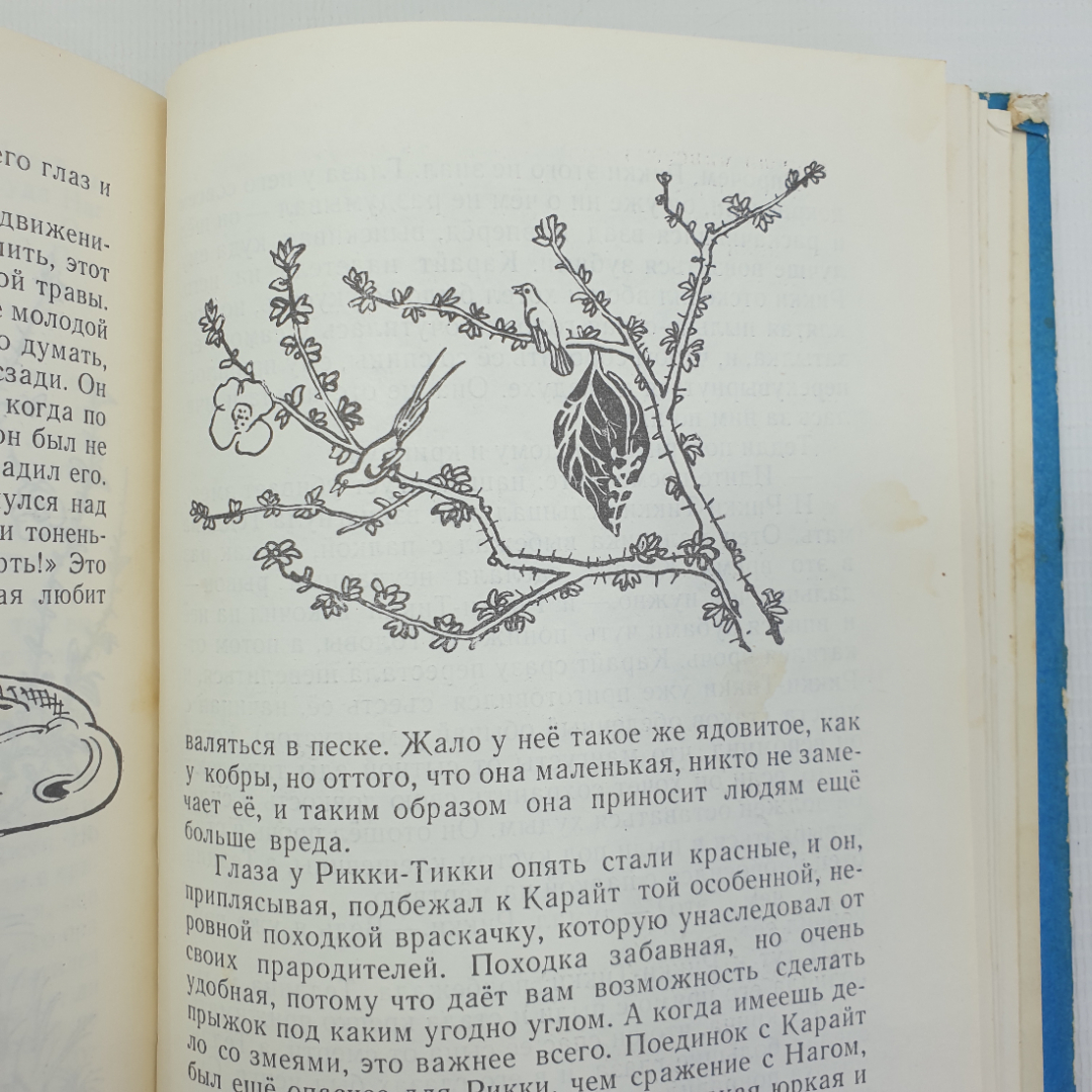 Р. Киплинг "Сказки", Детская литература, Москва, 1975г.. Картинка 9