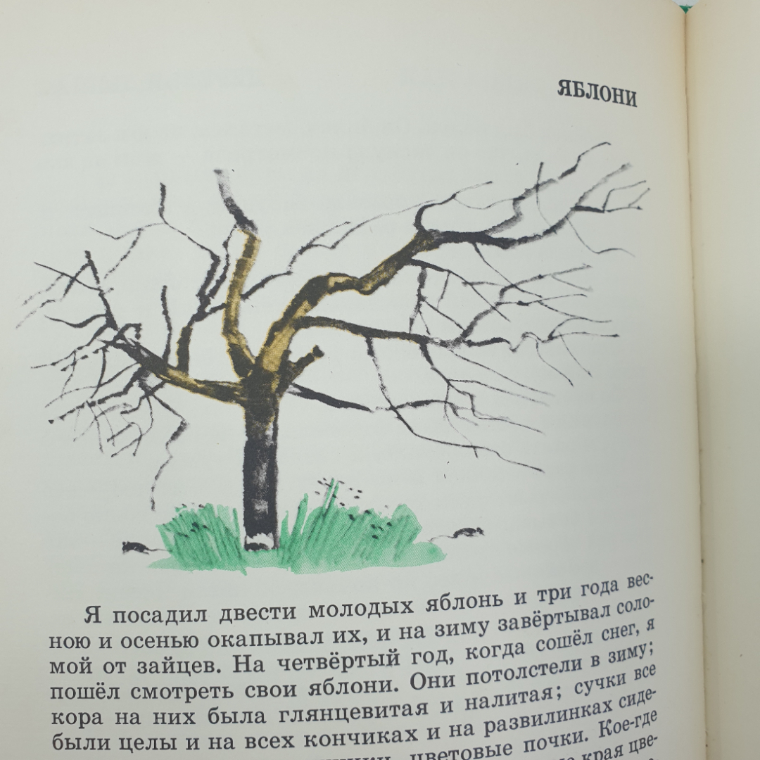 Л.Н. Толстой "Книга для детей", Московский рабочий, 1977г.. Картинка 5