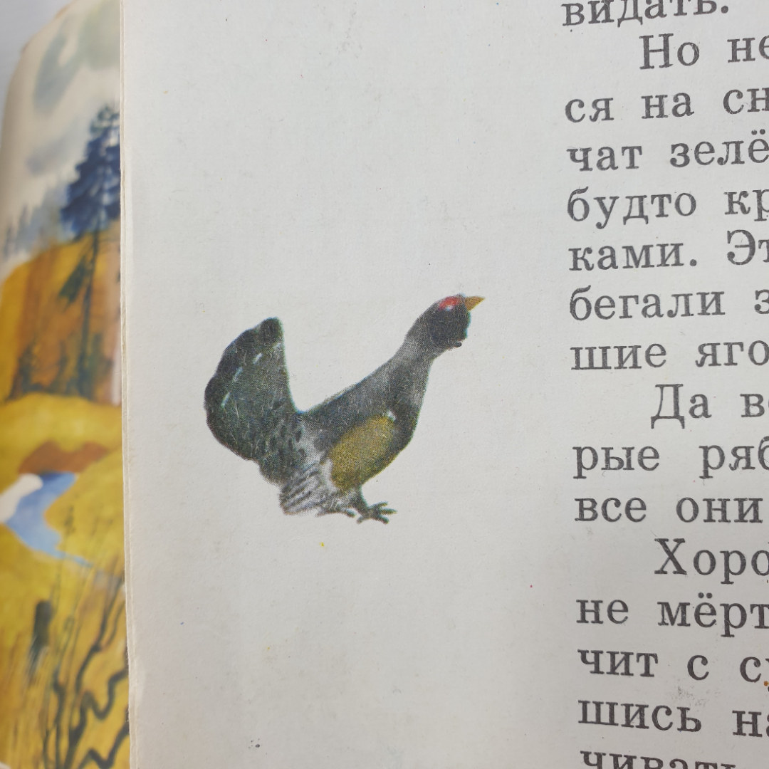 Г. Скребицкий "Четыре художника", издательство Малыш, 1974г.. Картинка 6