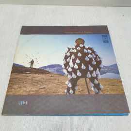 Пластинка Pink Floyd - Delicate Sound Of Thunder . 