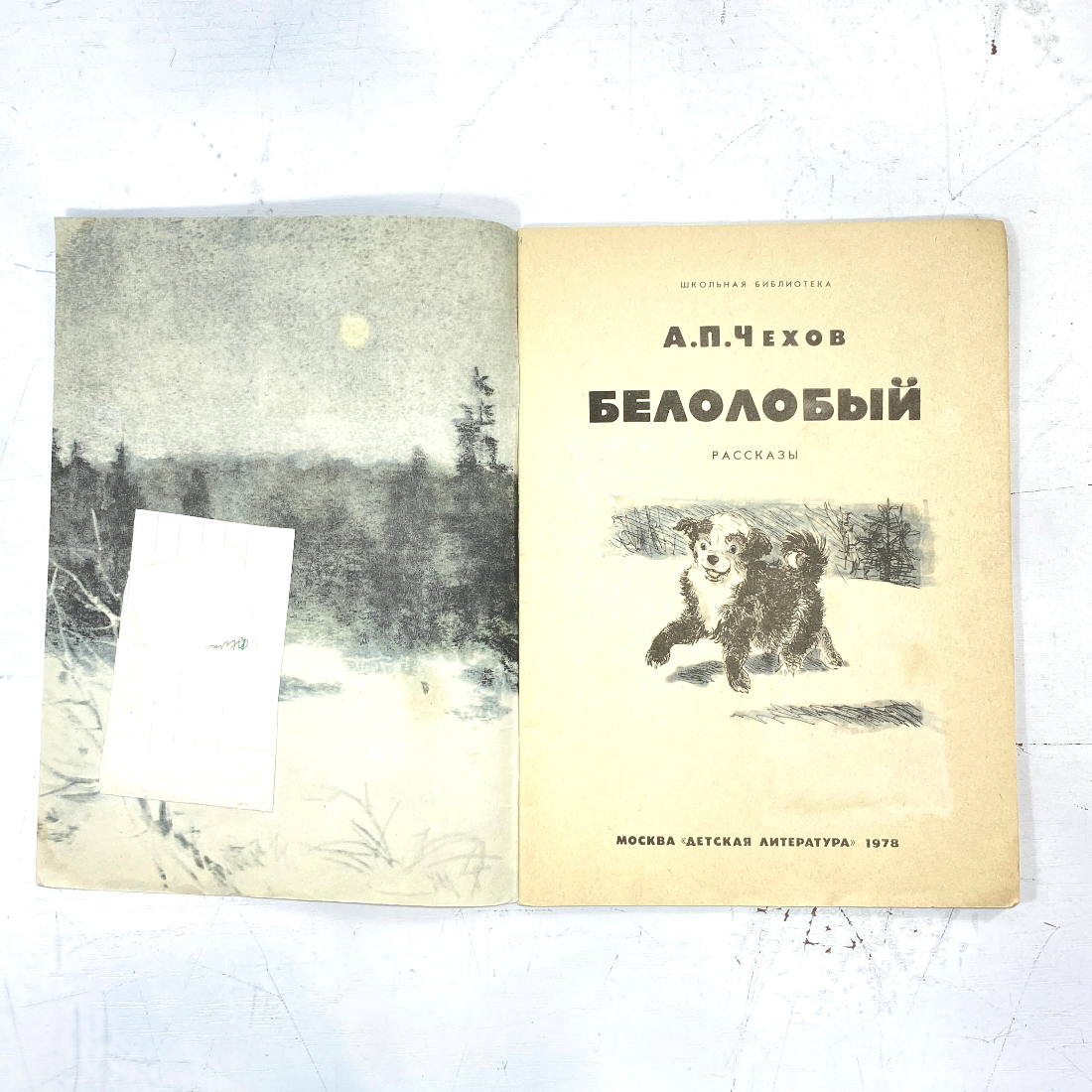 "Белолобый" СССР книга. Картинка 2