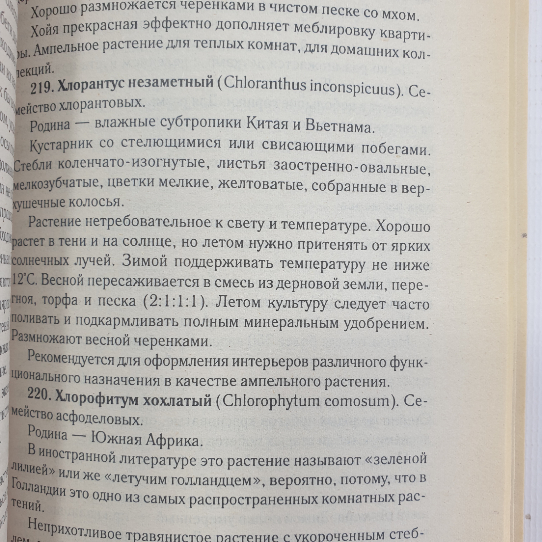 Е. Манжос "1000 + 1 совет по уходу за комнатными растениями", Минск, Харвест, 2003г.. Картинка 4