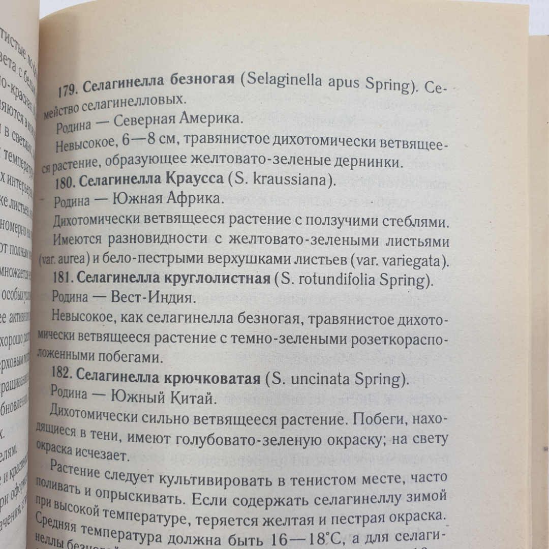 Е. Манжос "1000 + 1 совет по уходу за комнатными растениями", Минск, Харвест, 2003г.. Картинка 5