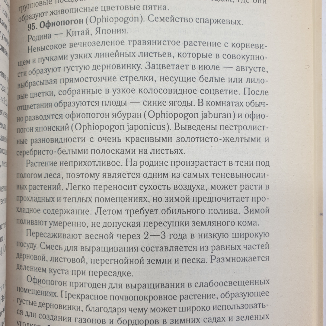 Е. Манжос "1000 + 1 совет по уходу за комнатными растениями", Минск, Харвест, 2003г.. Картинка 6