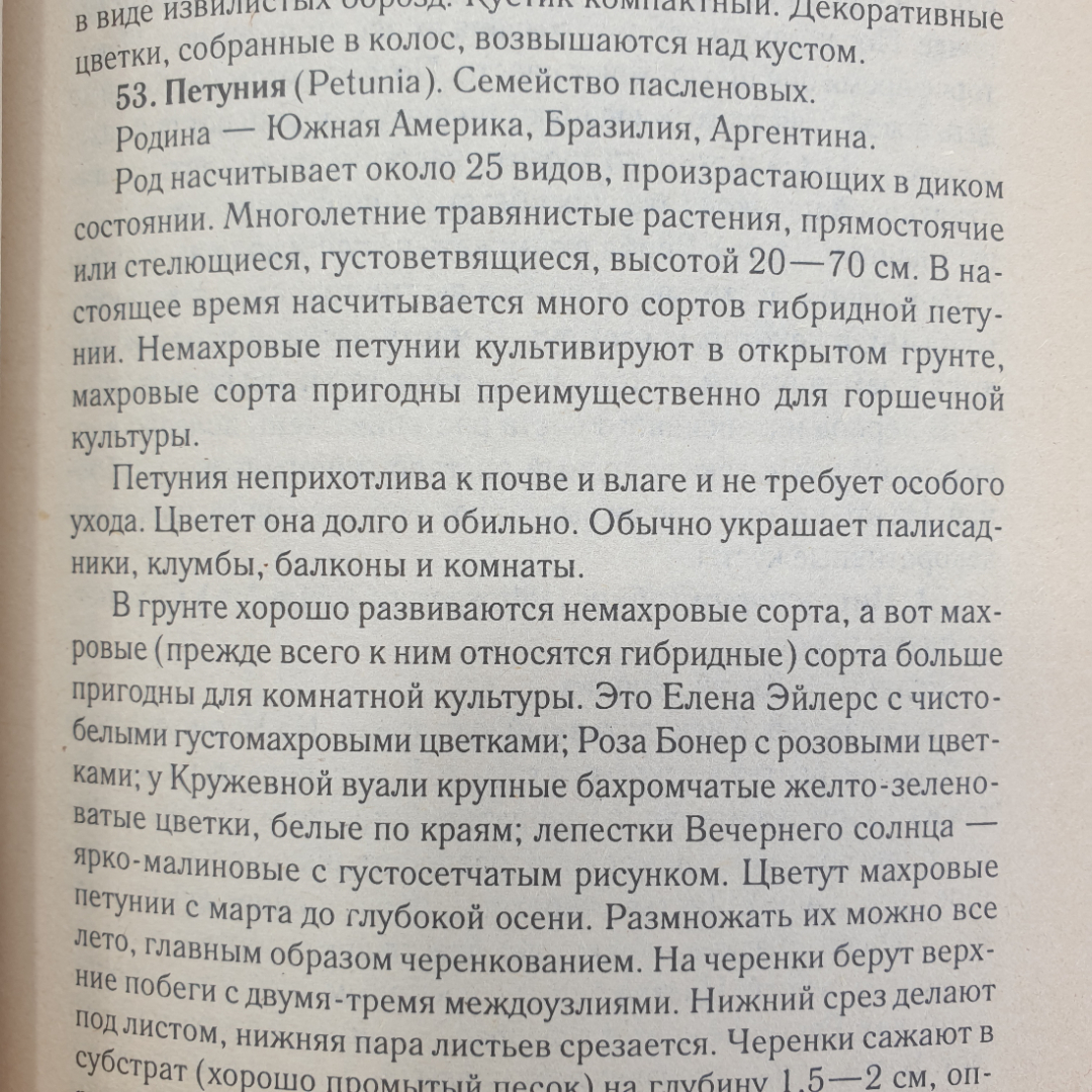 Е. Манжос "1000 + 1 совет по уходу за комнатными растениями", Минск, Харвест, 2003г.. Картинка 8