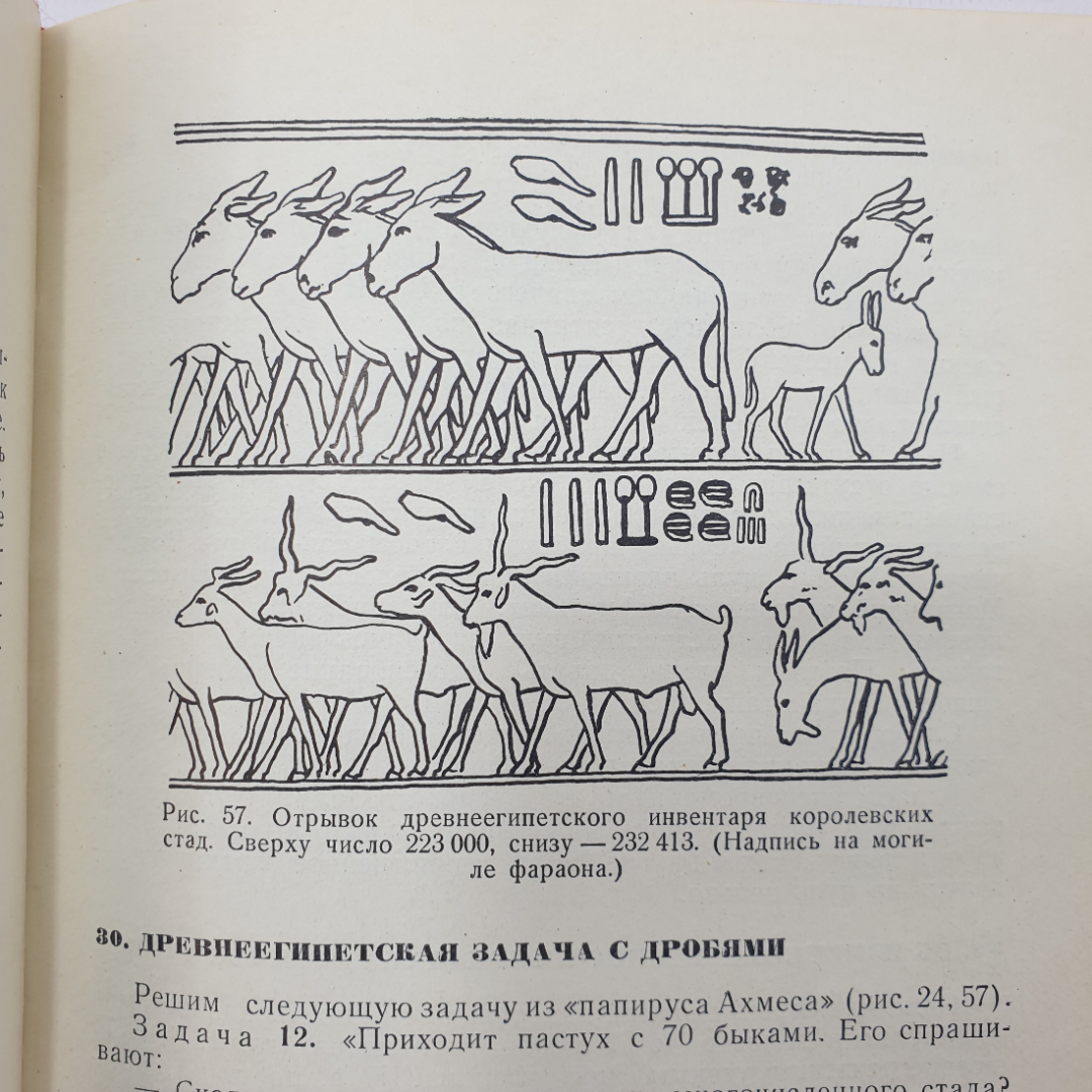 Г.И. Глейзер "История математики в школе. Пособие для учителей", издательство Просвещение, 1964г.. Картинка 6