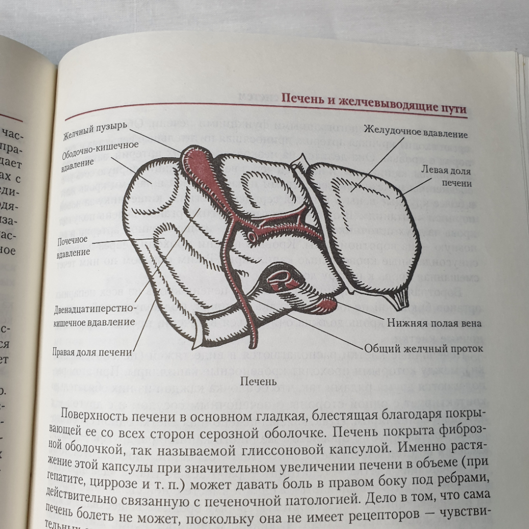 Полная энциклопедия очищения организма, издательство Эксмо-Пресс, Санкт-Петербург, 2001г.. Картинка 13