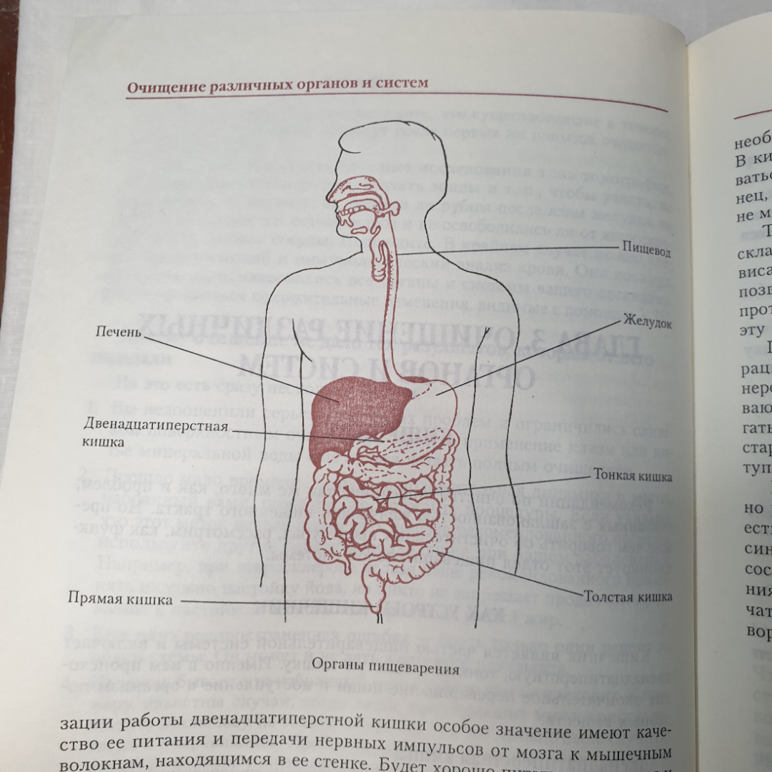 Полная энциклопедия очищения организма, издательство Эксмо-Пресс, Санкт-Петербург, 2001г.. Картинка 16