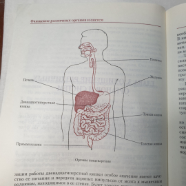 Полная энциклопедия очищения организма, издательство Эксмо-Пресс, Санкт-Петербург, 2001г.. Картинка 16