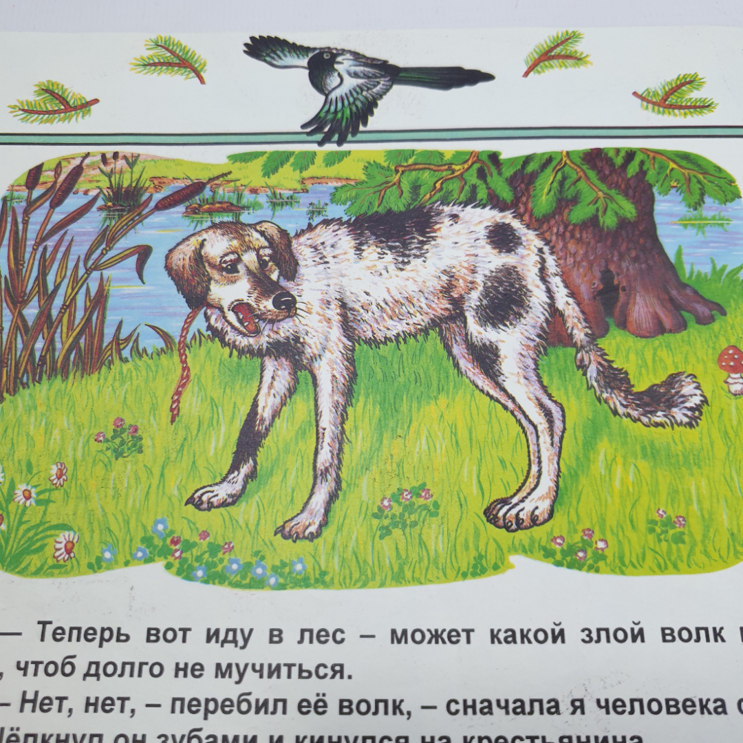 Белорусская народная сказка "Как лиса волка судила", Минск, 1997г.. Картинка 15