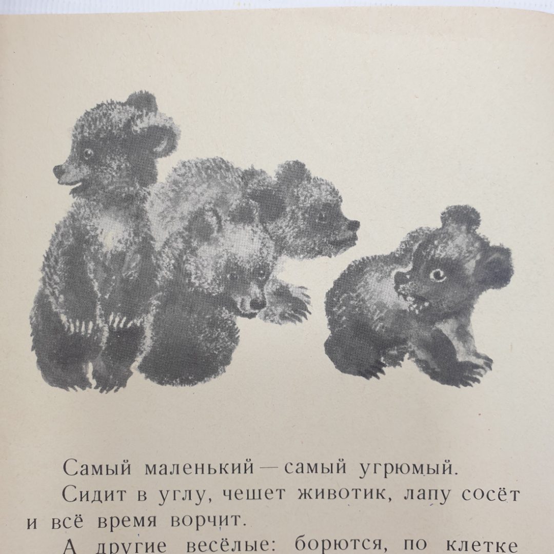 Е. Чарушин "Волчишко", издательство Детская литература, Москва, 1972г.. Картинка 9