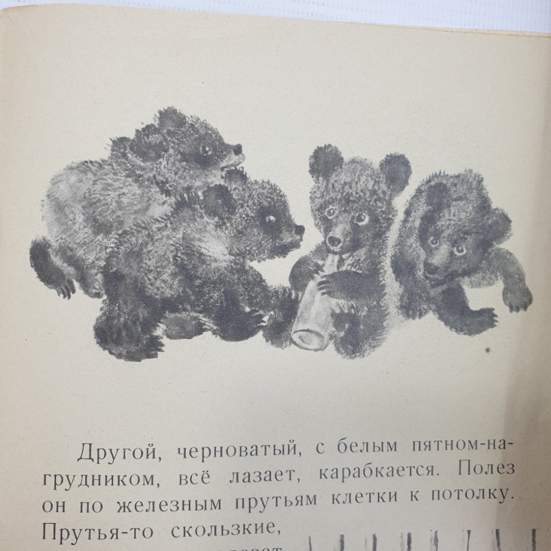 Е. Чарушин "Волчишко", издательство Детская литература, Москва, 1972г.. Картинка 10