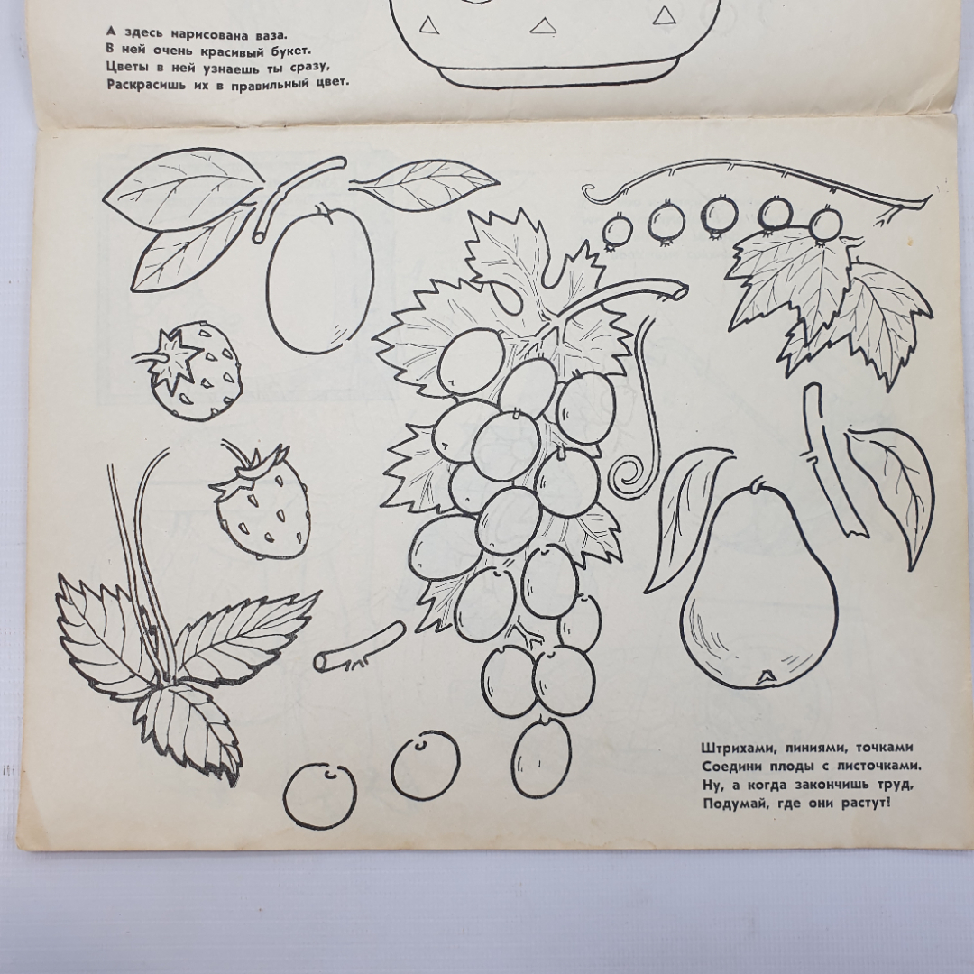 Альбом для раскрашивания "Сколько, кто, зачем и где?", издательство Малыш, 1972г.. Картинка 6