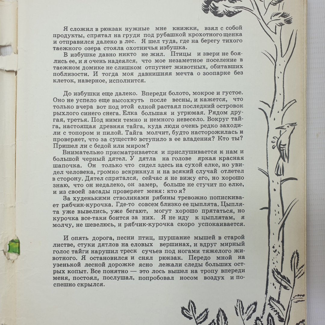 Детская книжка "Рассказы о природе для детей и взрослых" без обложки. Картинка 3