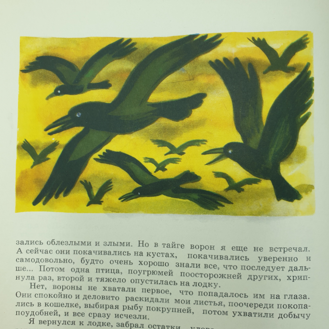 Детская книжка "Рассказы о природе для детей и взрослых" без обложки. Картинка 8