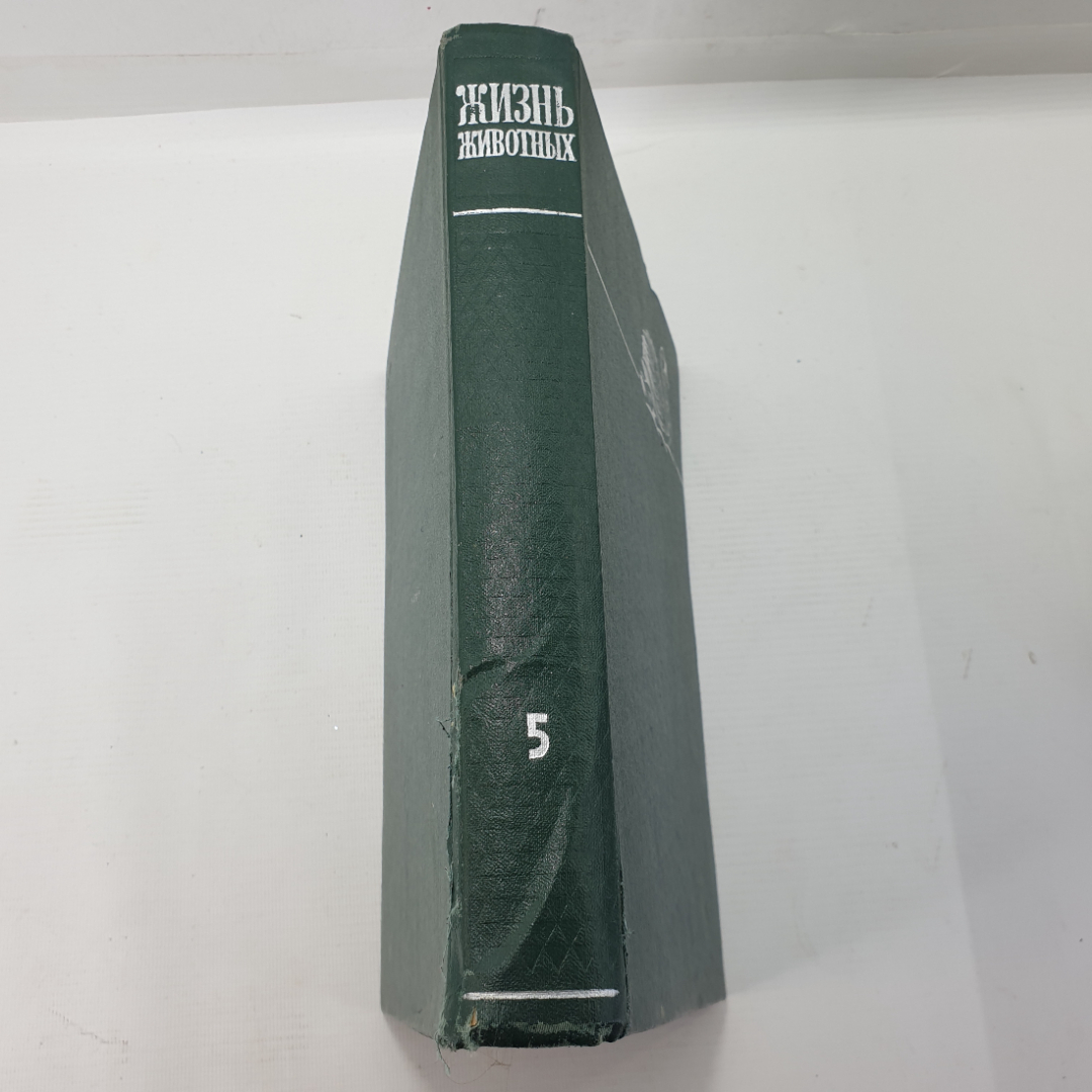 Коллектив авторов "Жизнь животных" в шести томах, том пятый, издательство Просвещение, 1970г.. Картинка 3