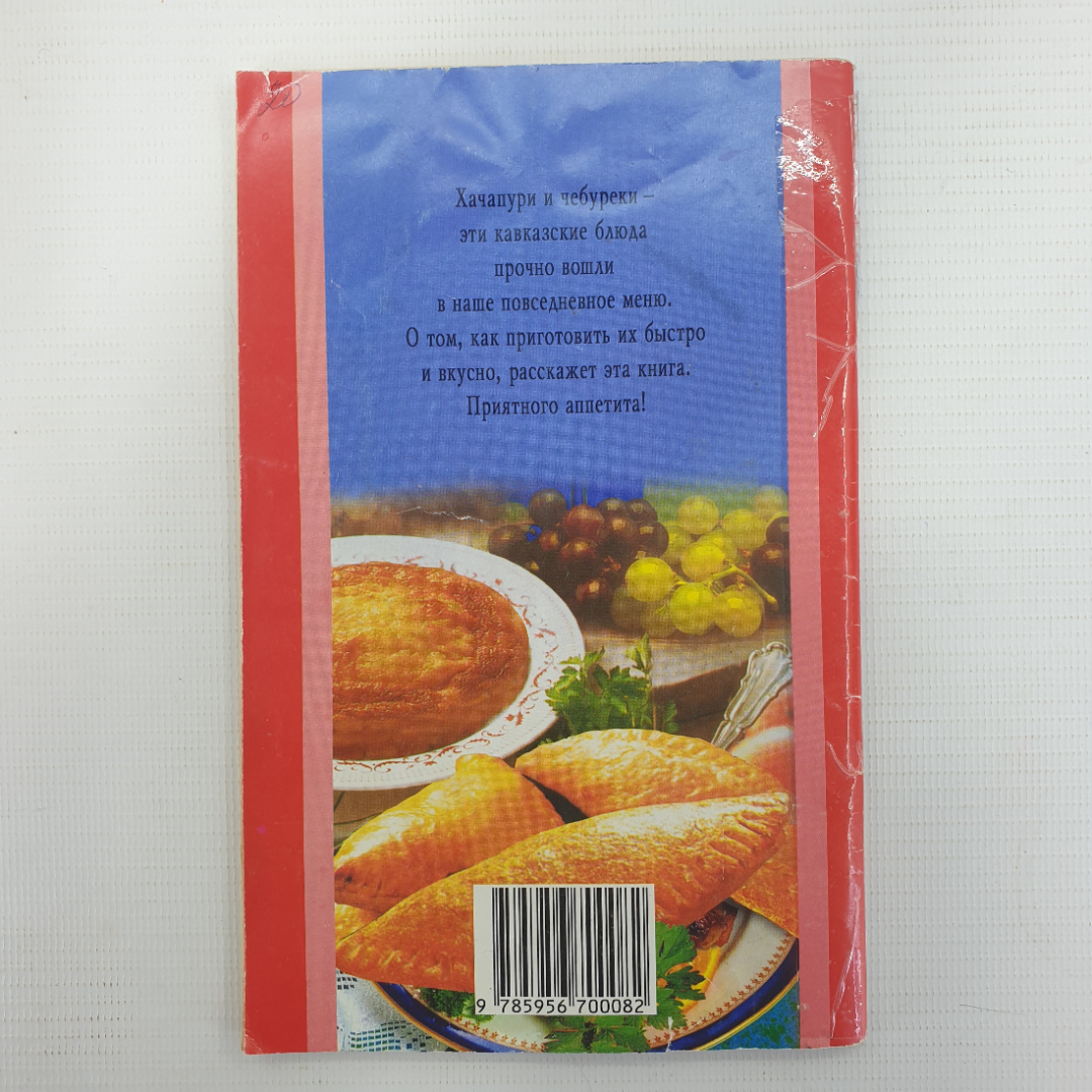 Т. Новосёлова "Хачапури и чебуреки", издательство Владис, 2009г.. Картинка 2