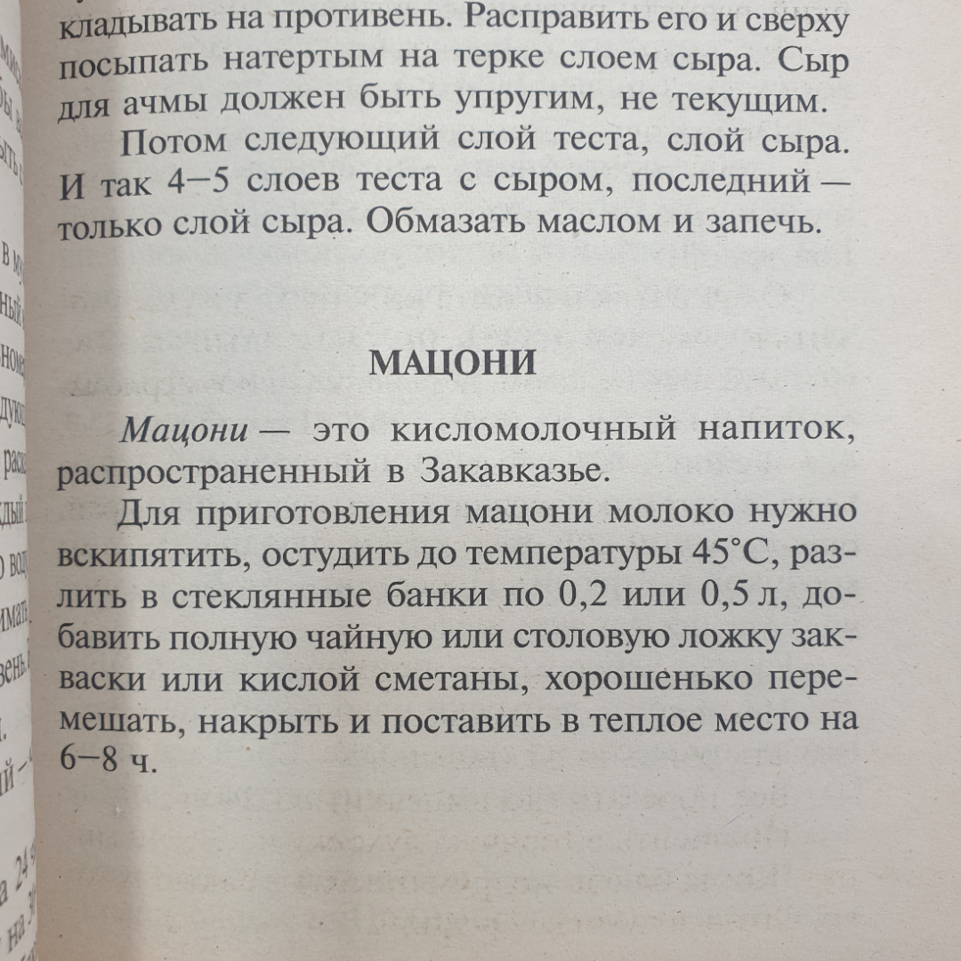 Т. Новосёлова "Хачапури и чебуреки", издательство Владис, 2009г.. Картинка 5