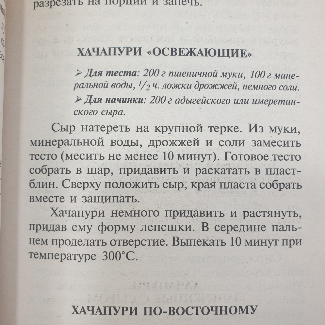 Т. Новосёлова "Хачапури и чебуреки", издательство Владис, 2009г.. Картинка 7