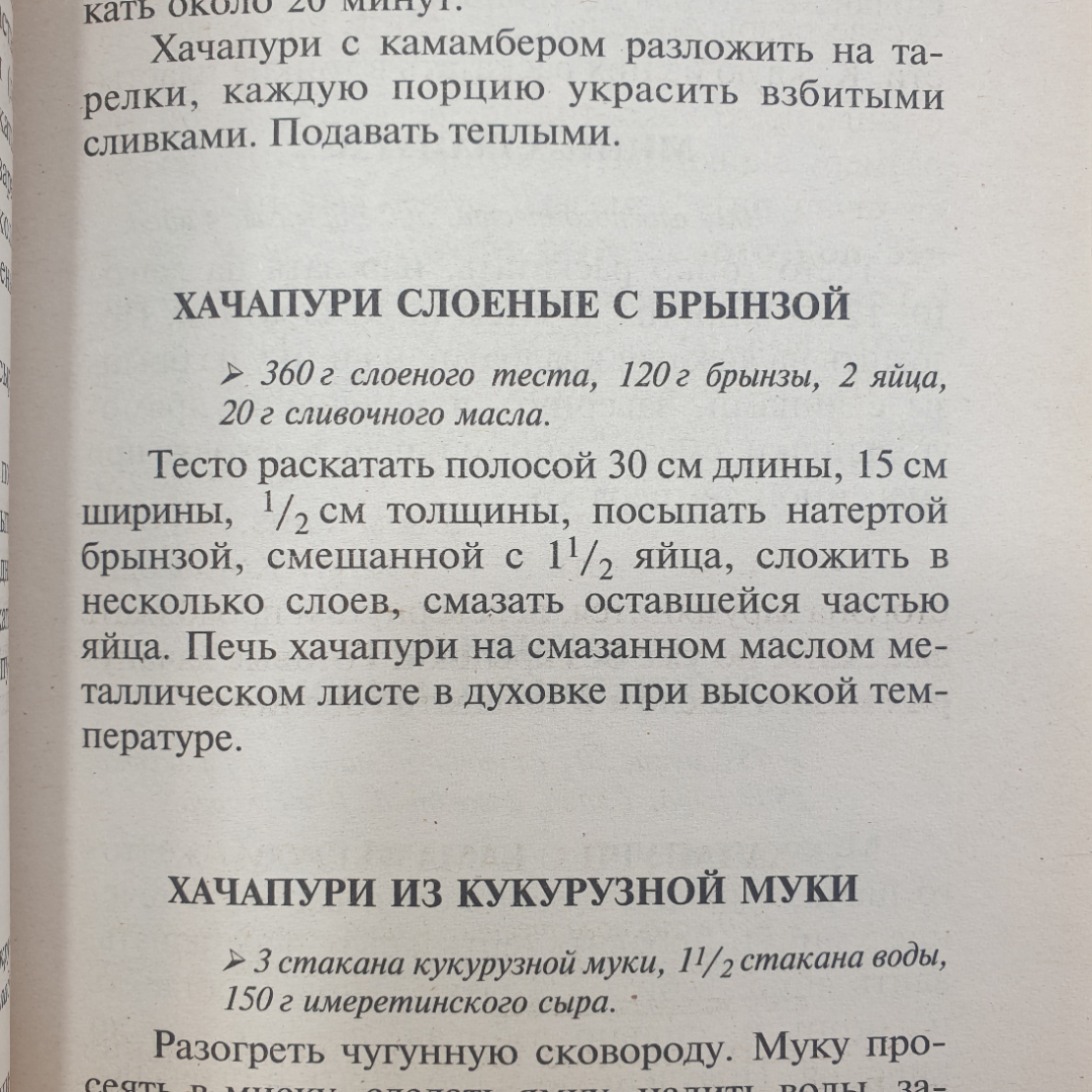 Т. Новосёлова "Хачапури и чебуреки", издательство Владис, 2009г.. Картинка 8