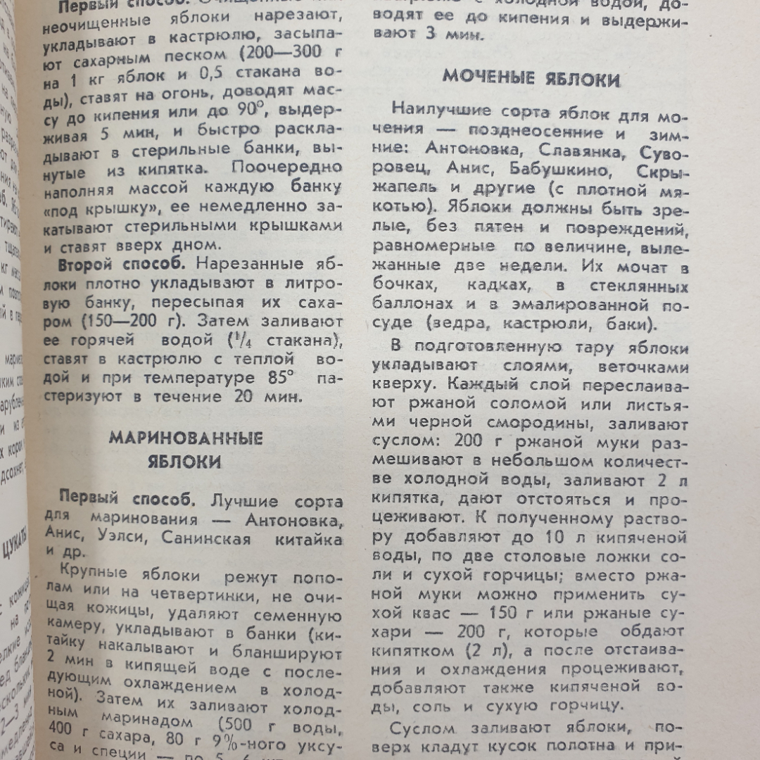 К.С. Петровский, Д.П. Белоусов, А.С. Беляева, Н.Н. Смирнова "Витамины круглый год", 1984г.. Картинка 6