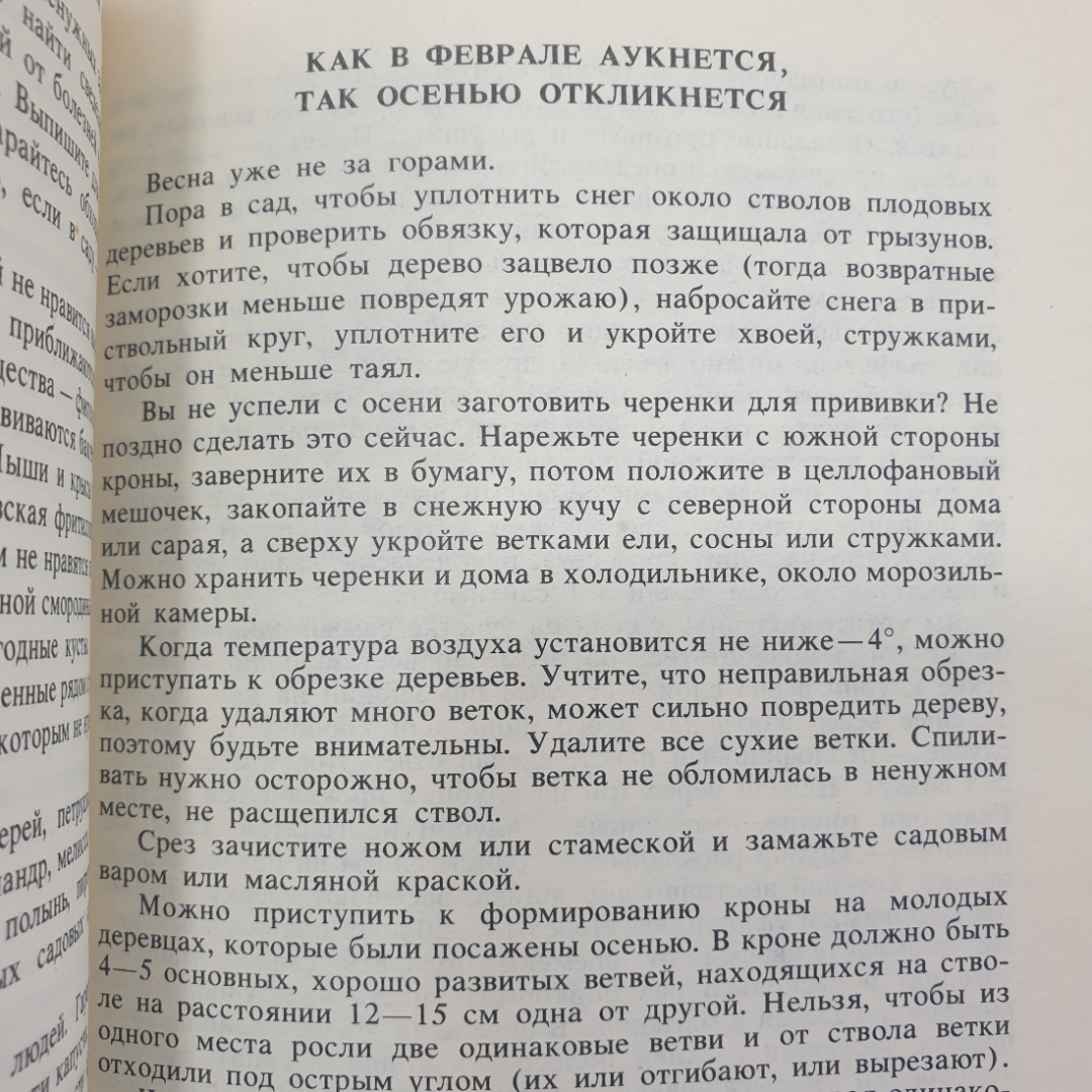 В.М. Башарина, Л.В. Ершова, З.П. Крылова "Хозяйке на заметку. Горожанин в саду", Орел, 1990г.. Картинка 3