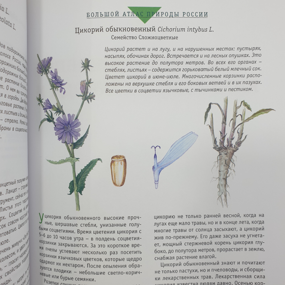 Большой атлас природы России, Ридерз Дайджест, Китай, 2007г.. Картинка 7