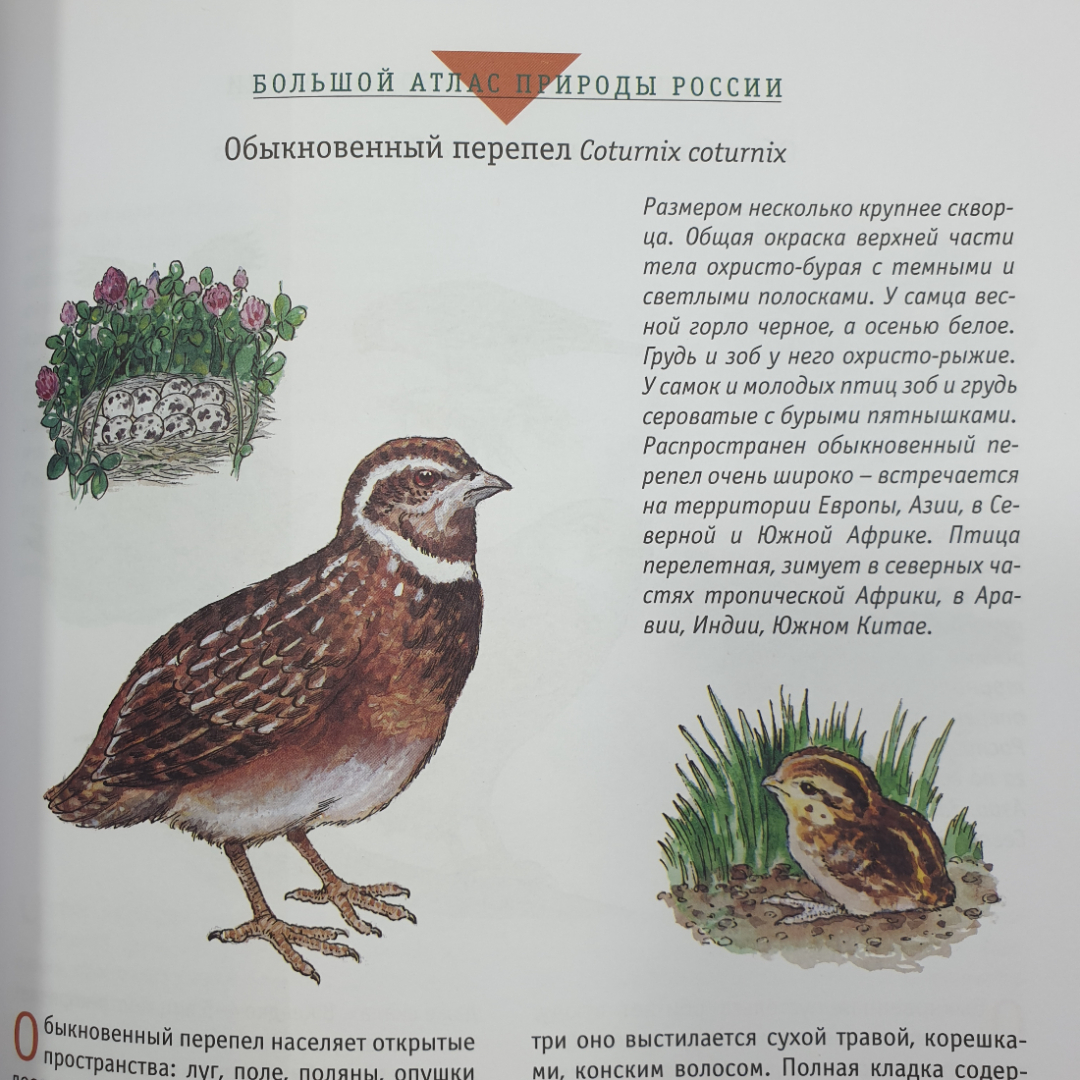 Большой атлас природы России, Ридерз Дайджест, Китай, 2007г.. Картинка 13