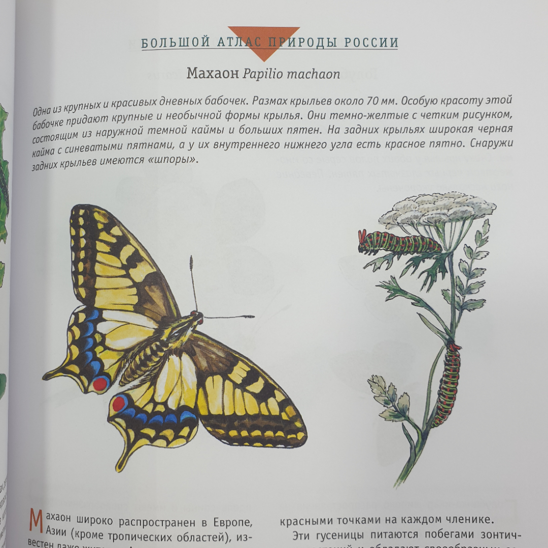 Большой атлас природы России, Ридерз Дайджест, Китай, 2007г.. Картинка 17