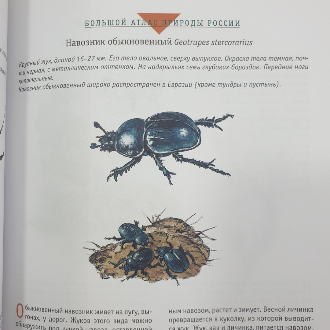 Большой атлас природы России, Ридерз Дайджест, Китай, 2007г.. Картинка 18