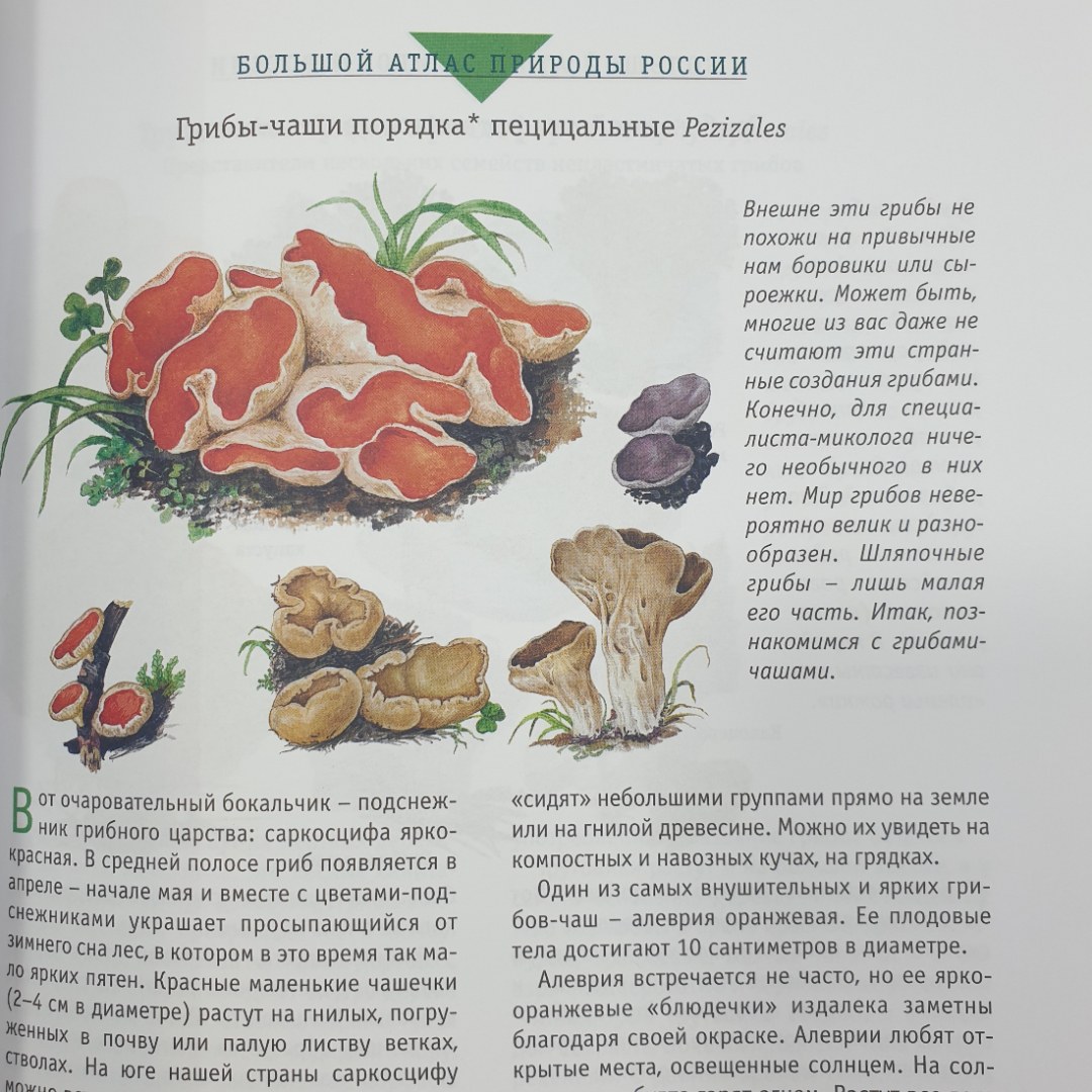 Большой атлас природы России, Ридерз Дайджест, Китай, 2007г.. Картинка 20