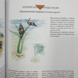 Большой атлас природы России, Ридерз Дайджест, Китай, 2007г.. Картинка 4