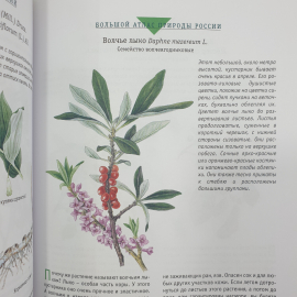 Большой атлас природы России, Ридерз Дайджест, Китай, 2007г.. Картинка 6