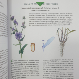 Большой атлас природы России, Ридерз Дайджест, Китай, 2007г.. Картинка 7
