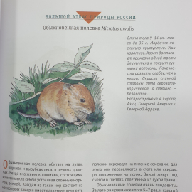 Большой атлас природы России, Ридерз Дайджест, Китай, 2007г.. Картинка 10