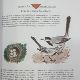 Большой атлас природы России, Ридерз Дайджест, Китай, 2007г.. Картинка 11