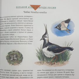 Большой атлас природы России, Ридерз Дайджест, Китай, 2007г.. Картинка 12